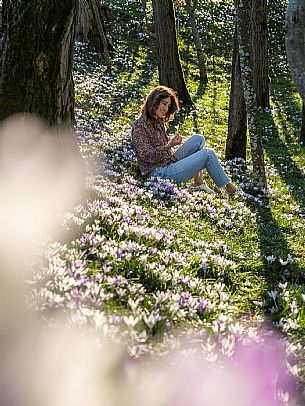 Spring walk to admire the wild crocus blossoms between Cassacco, Raspano and Treppo Grande