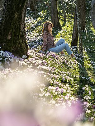 Spring walk to admire the wild crocus blossoms between Cassacco, Raspano and Treppo Grande