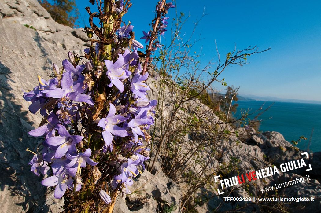 Rilke Trail - Duino