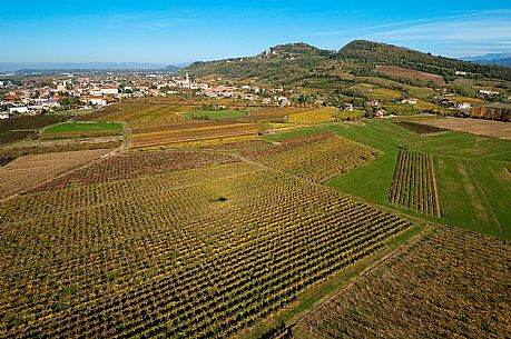 Vigneti nei pressi di Cormons