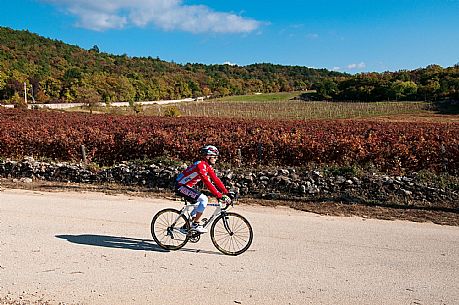 Cycling in Karst