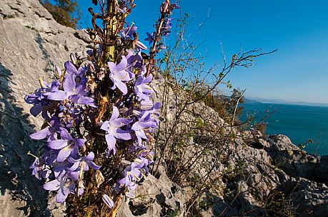 Rilke Trail - Duino