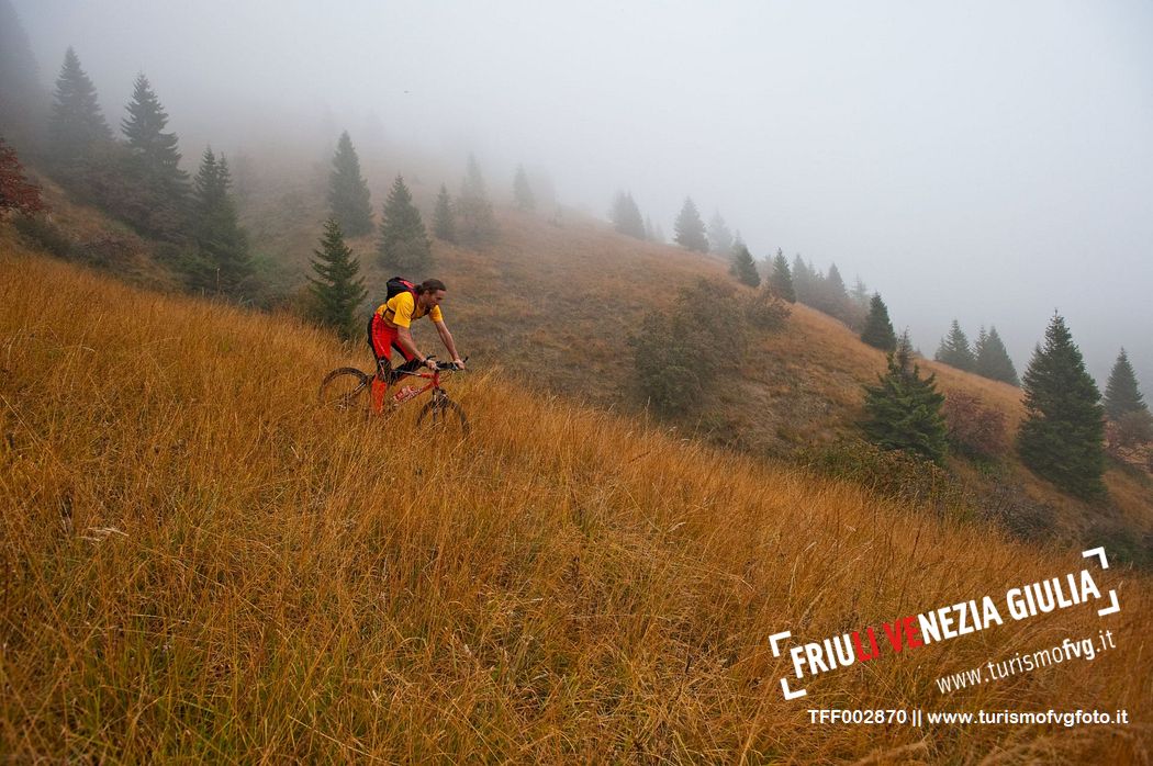 Cycling in FVG