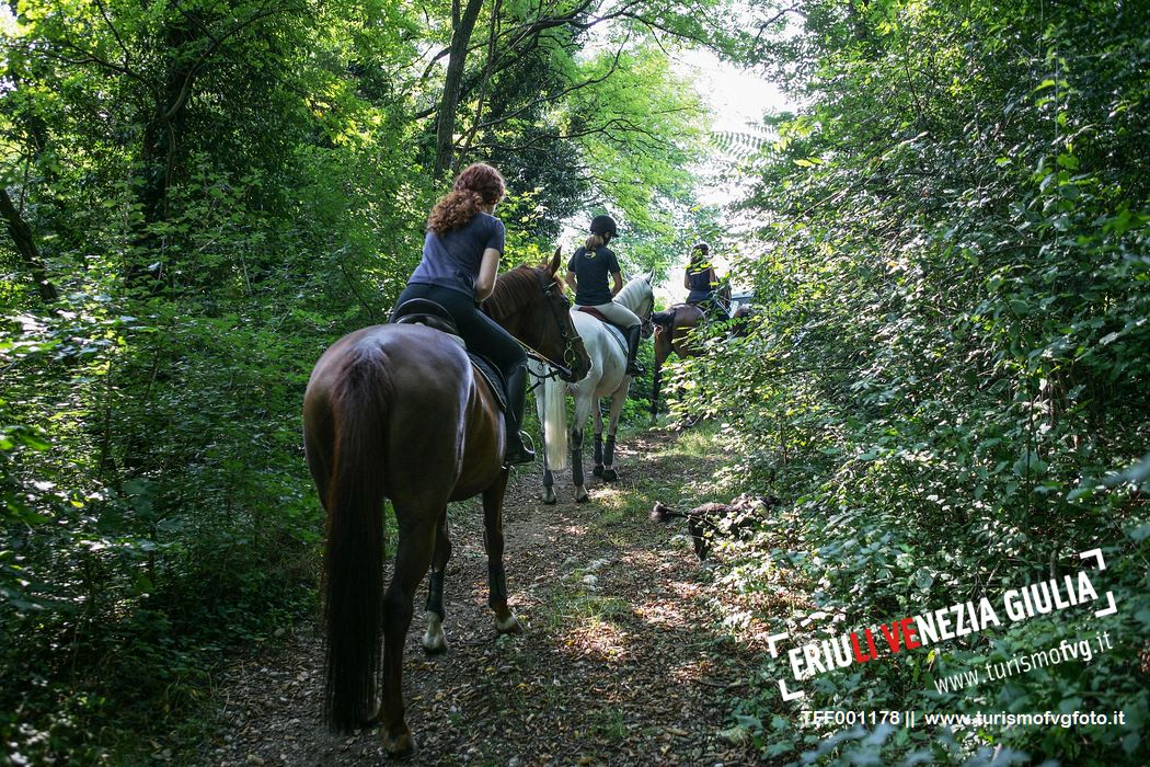 Horse riding