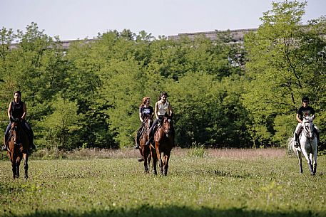 Horse riding