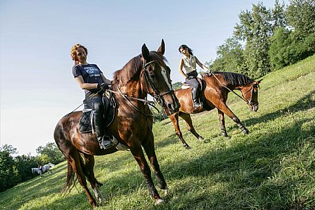 Horse riding