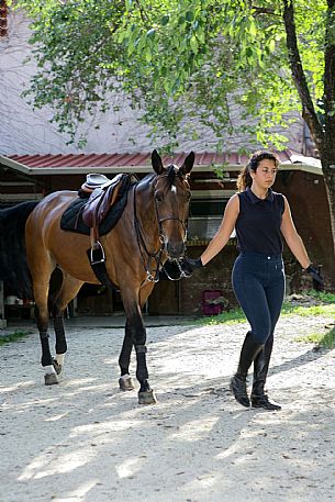 Horse riding