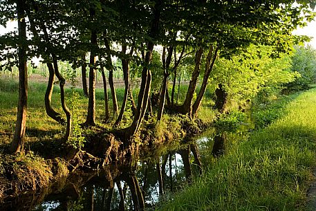 Casarasa della Delizia (Pn)