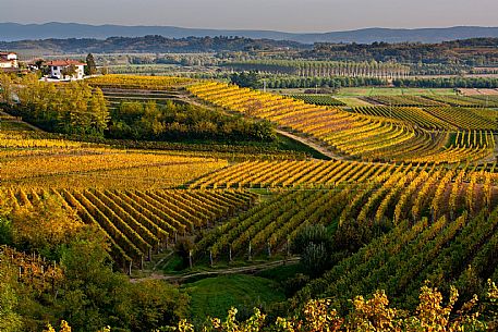 Autumn in Collio