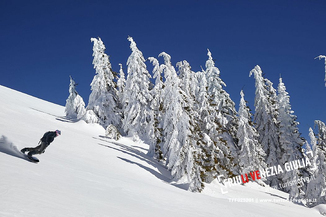 Snowboard in FVG