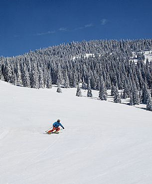 Ski in FVG