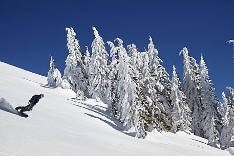 Snowboard in FVG