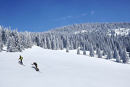 Ski Mountaineering in FVG