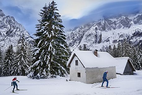 Cross Country skiing in FVG