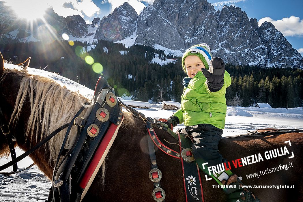 Sappada -  horse-drawn sleigh rides