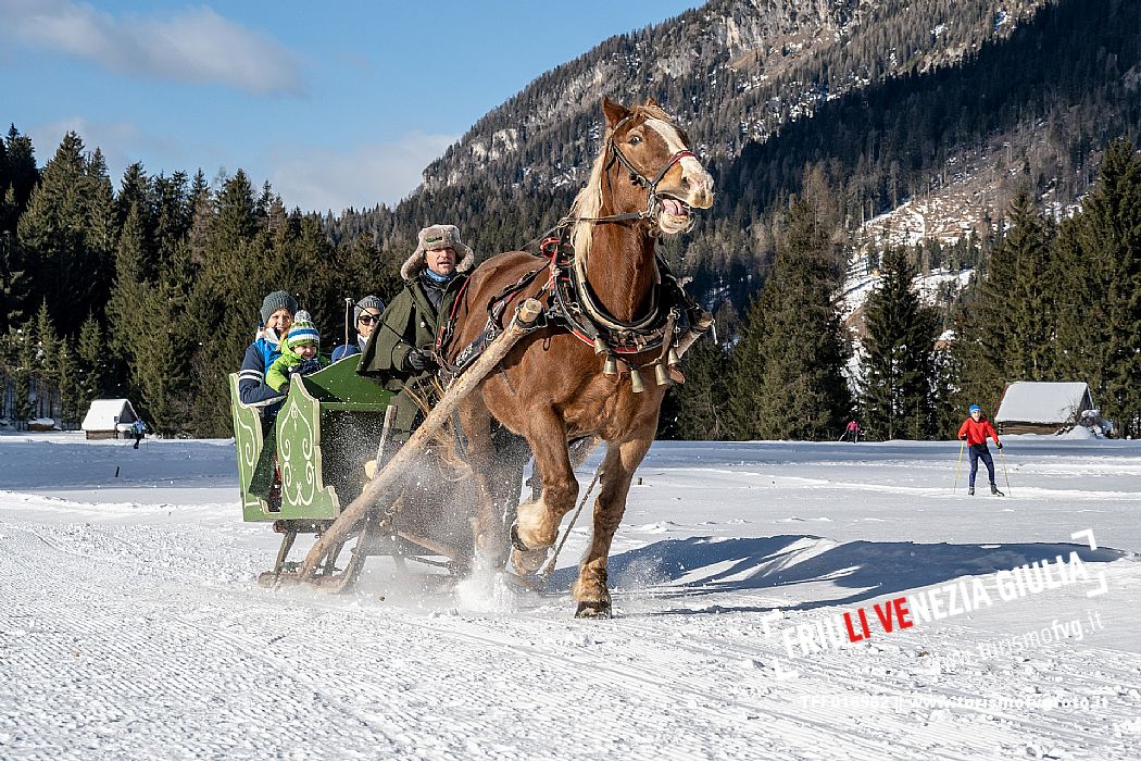 Sappada -  horse-drawn sleigh rides