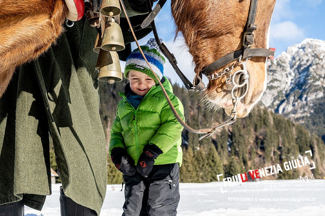 Sappada -  horse-drawn sleigh rides