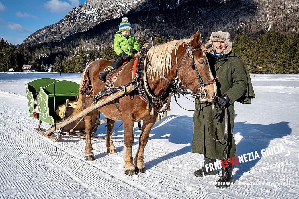 Sappada -  horse-drawn sleigh rides