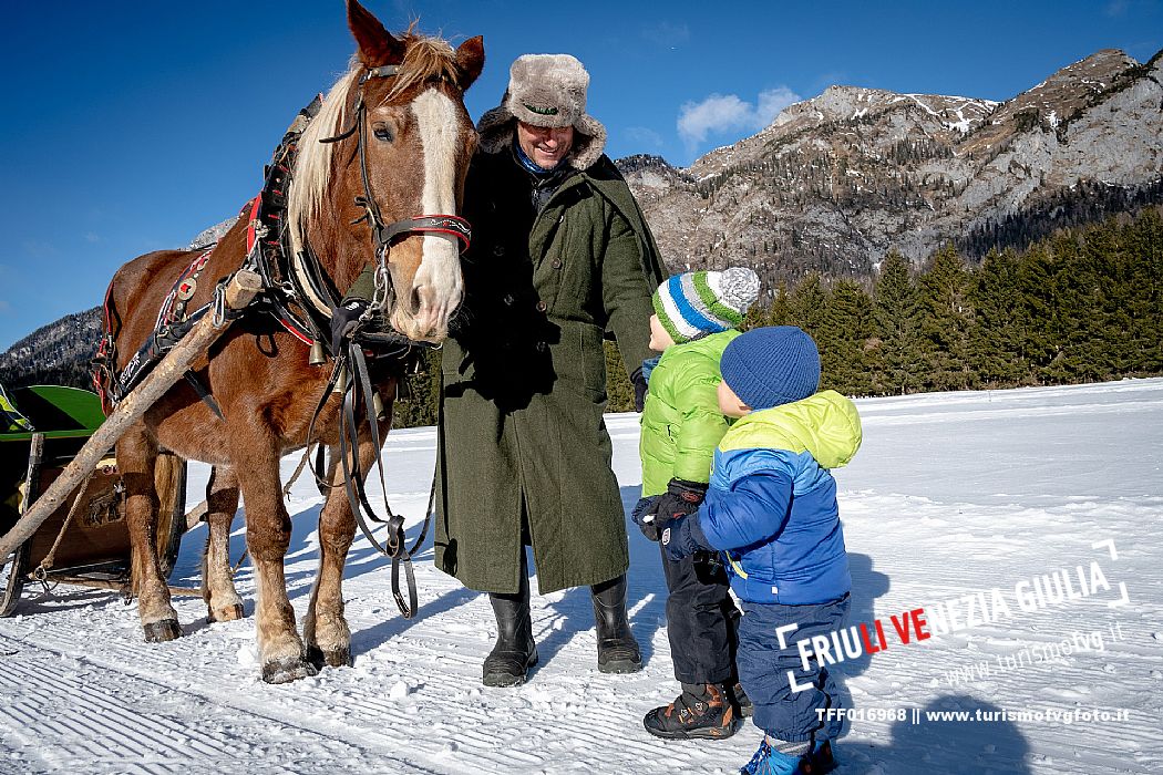 Sappada -  horse-drawn sleigh rides