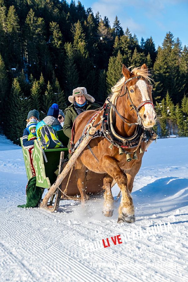 Sappada -  horse-drawn sleigh rides