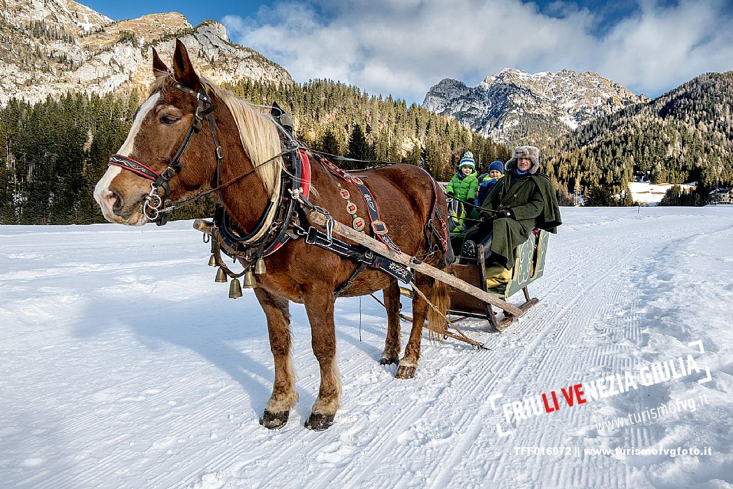 Sappada -  horse-drawn sleigh rides