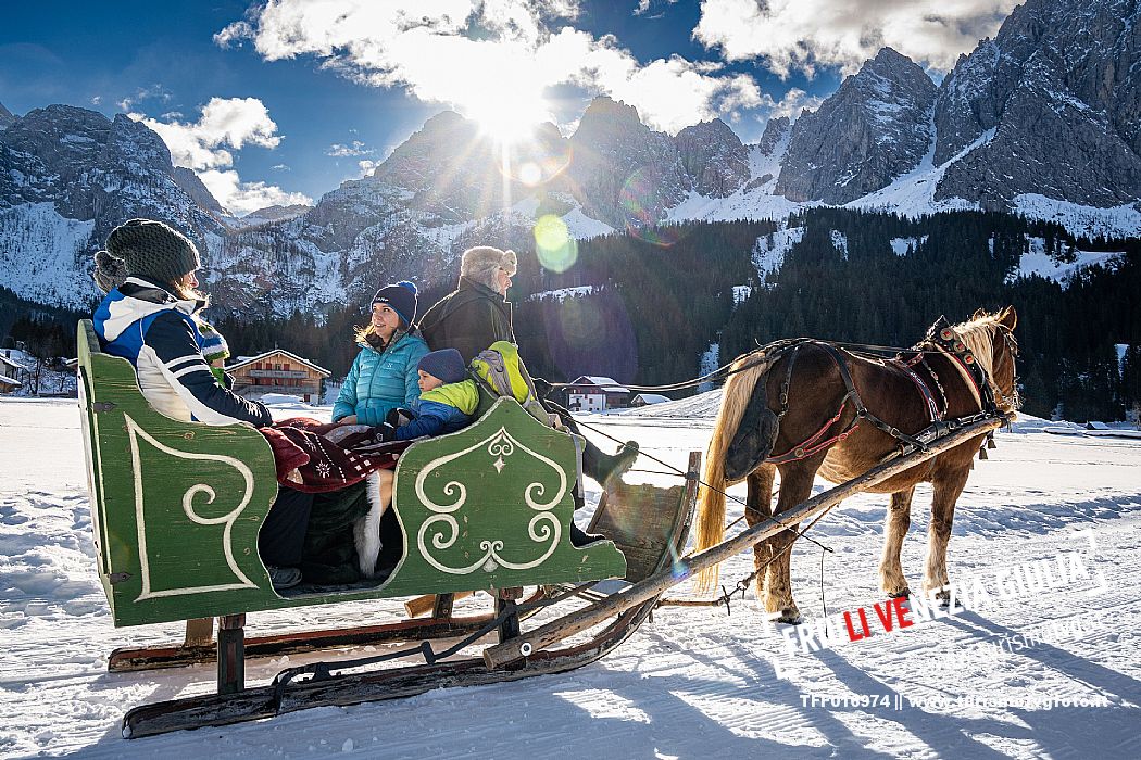 Sappada -  horse-drawn sleigh rides