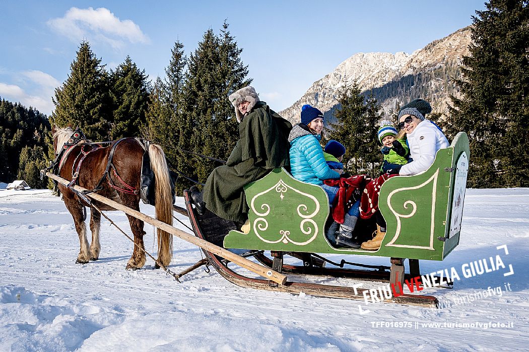 Sappada -  horse-drawn sleigh rides