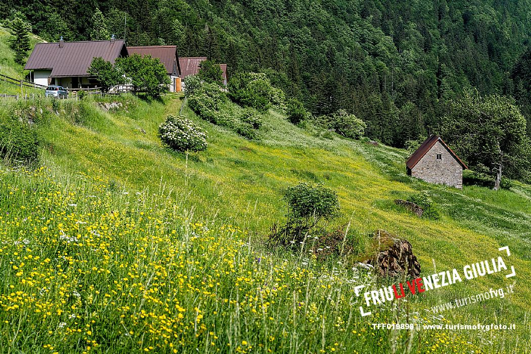 Valle del Chiars - Carnia