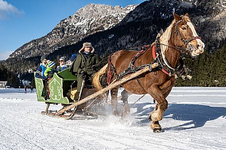 Sappada -  horse-drawn sleigh rides