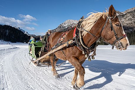 Sappada -  horse-drawn sleigh rides