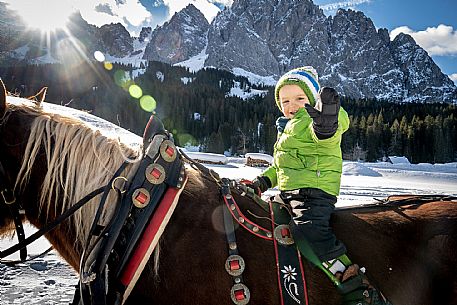 Sappada -  horse-drawn sleigh rides