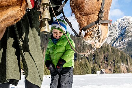 Sappada -  horse-drawn sleigh rides