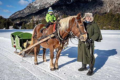 Sappada -  horse-drawn sleigh rides