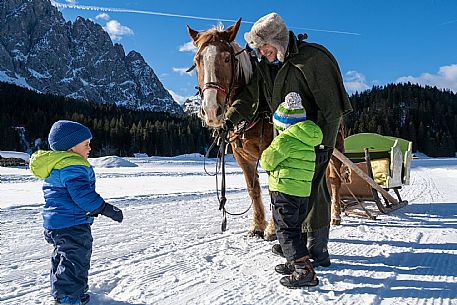 Sappada -  horse-drawn sleigh rides