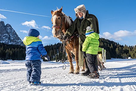 Sappada -  horse-drawn sleigh rides