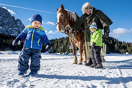 Sappada -  horse-drawn sleigh rides