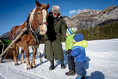 Sappada -  horse-drawn sleigh rides