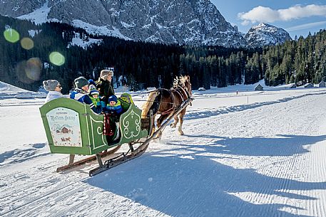 Sappada -  horse-drawn sleigh rides