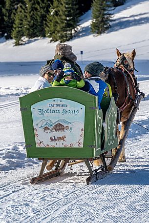 Sappada -  horse-drawn sleigh rides