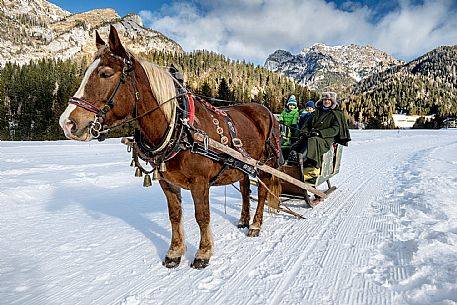 Sappada -  horse-drawn sleigh rides