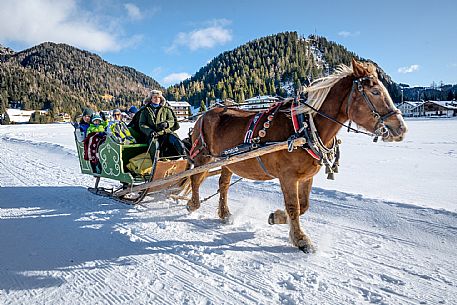 Sappada -  horse-drawn sleigh rides