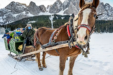 Sappada -  horse-drawn sleigh rides