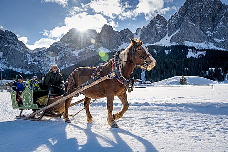 Sappada -  horse-drawn sleigh rides