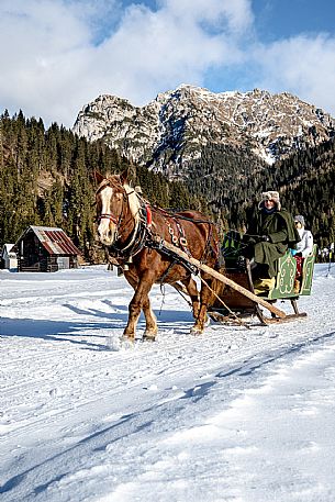 Sappada -  horse-drawn sleigh rides