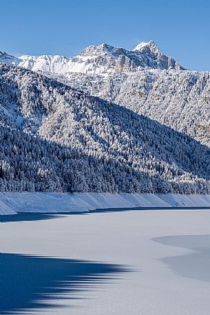 Sauris