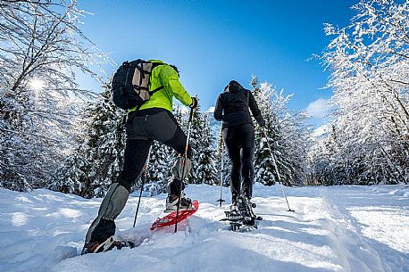 Snowshoeing in Val Saisera