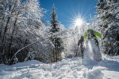 Snowshoeing in Val Saisera
