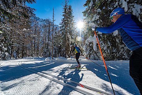 Cross country skiing in Val Saisera