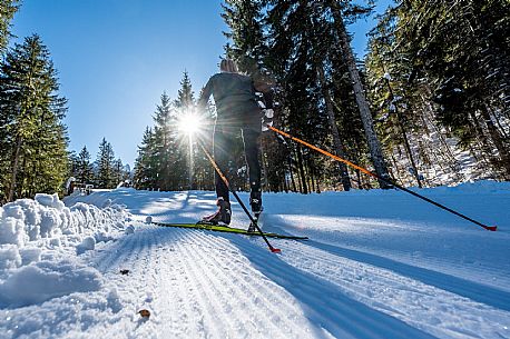 Cross country skiing in Val Saisera