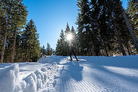 Cross country skiing in Val Saisera